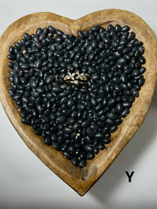 Ring Y