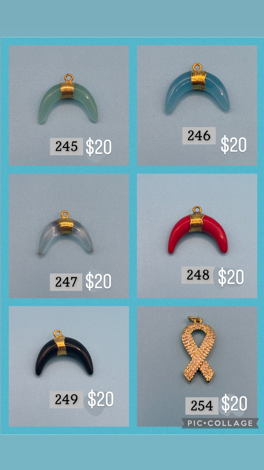 $20 Charms